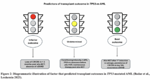 TP53 mutated AML: Transplant or No Transplant