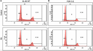 Single Protein Mimics Retinoic Acid Therapy to Help Leukemia Cells Mature
