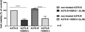 Protein GSK3β Offers New Angle on Overcoming Melanoma Drug Resistance