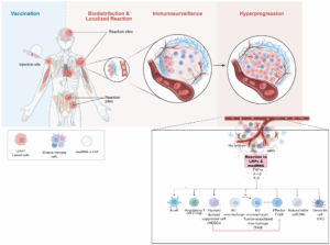 Evaluation of Cancer Reports Following COVID-19 Vaccination and Infection