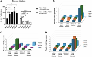 Epigenetic Dysregulation of PDX1 Drives Prostate Cancer Progression